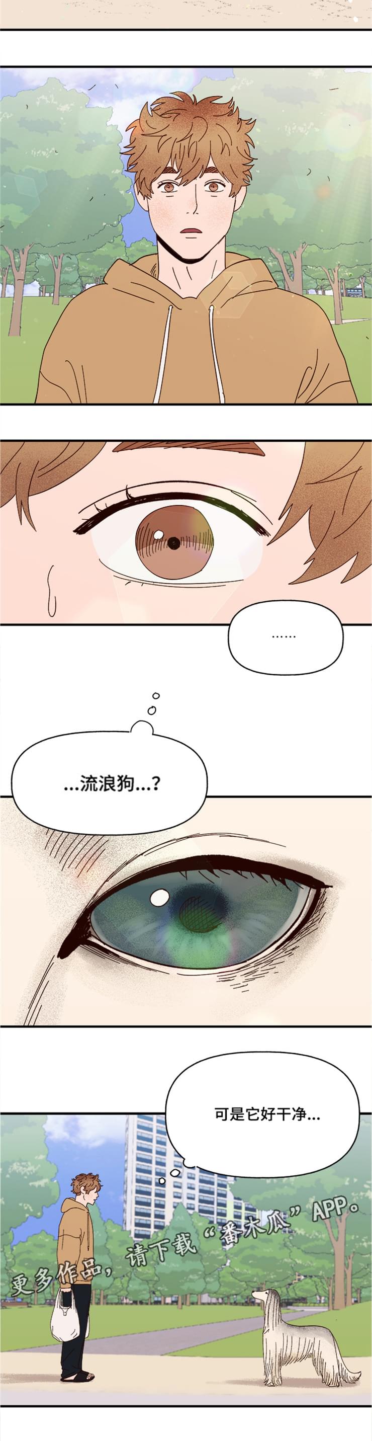 爱宠攻略第十话漫画,第19章：传说2图