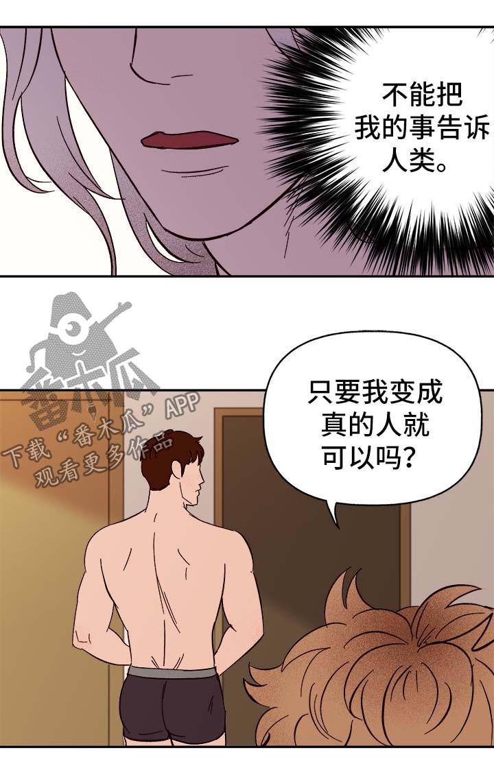 爱宠大机密攻略漫画,第41章：首先你是只狗1图