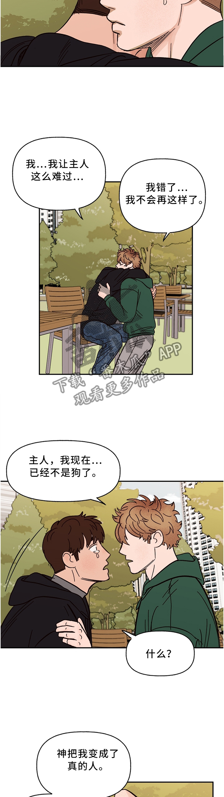 爱宠护理注意事项漫画,第65章：回家吧1图