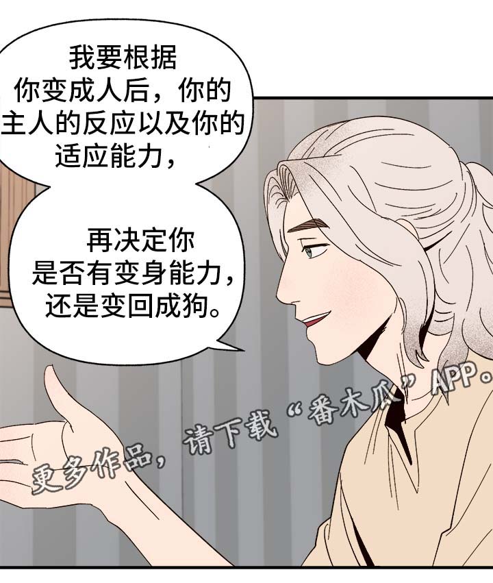 爱宠护理注意事项漫画,第34章：隐晦1图