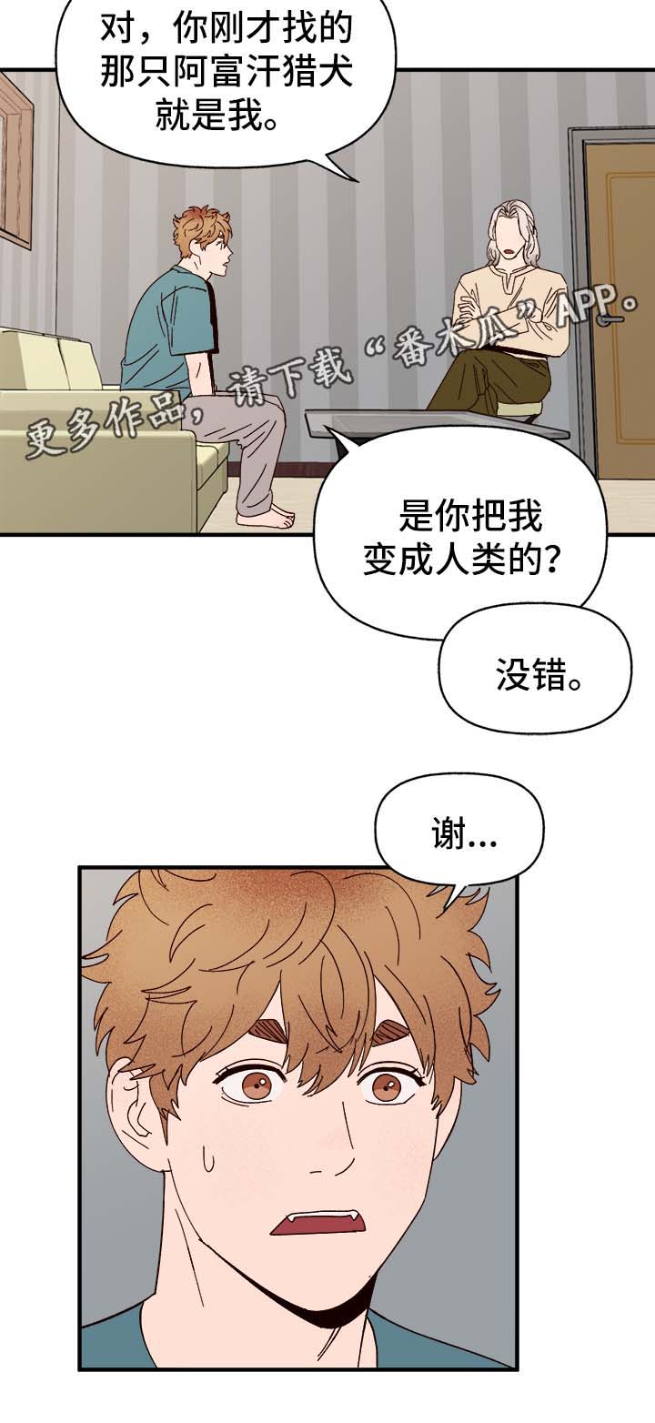 爱宠攻略漫画,第34章：隐晦2图