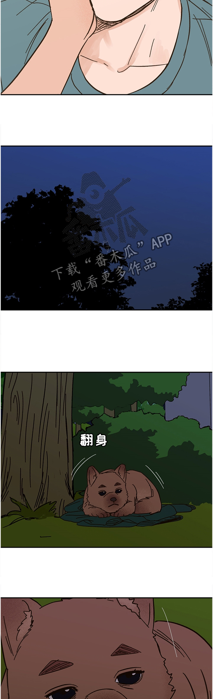 爱宠大机密漫画,第55章：这样的结果2图