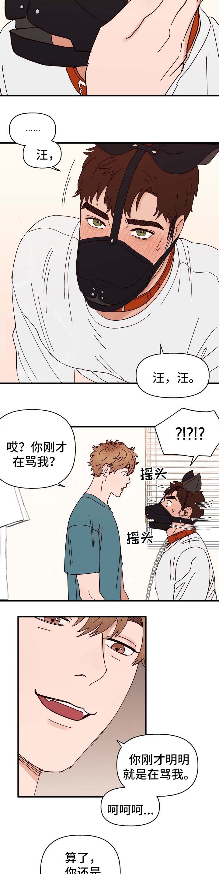 爱宠日常养护方法漫画,第29章：我是谁?2图