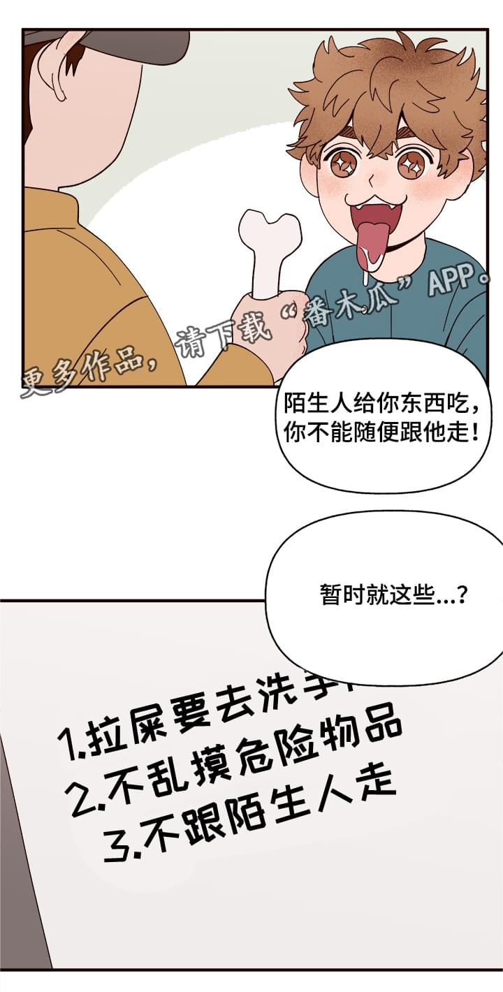 爱宠大机密图片漫画,第11章：测试一下2图