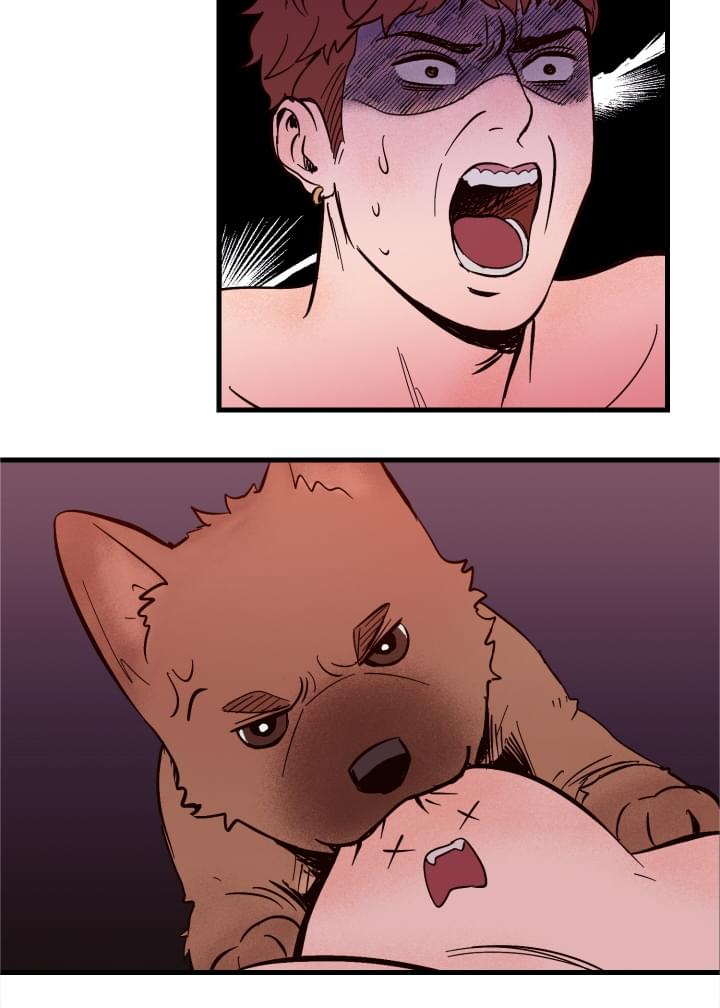 爱宠攻略漫画,第1章：袭击2图
