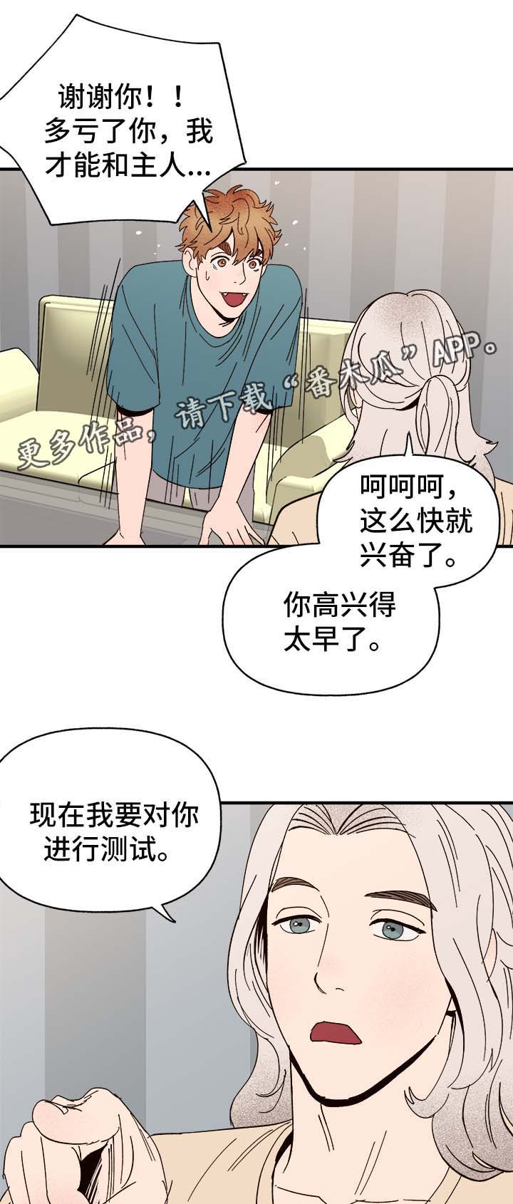 爱宠攻略 百度云漫画,第34章：隐晦1图