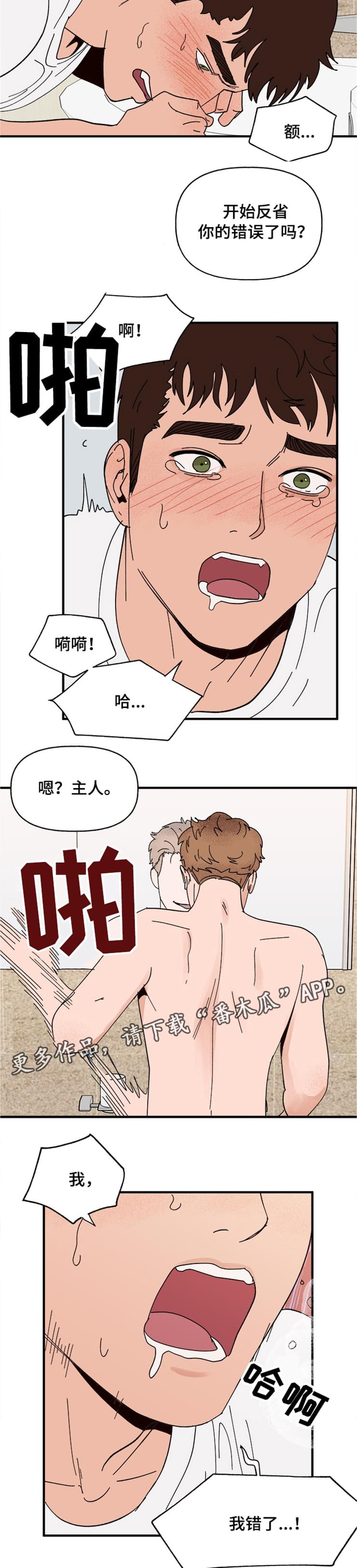 爱宠大机密图片漫画,第16章：接受2图