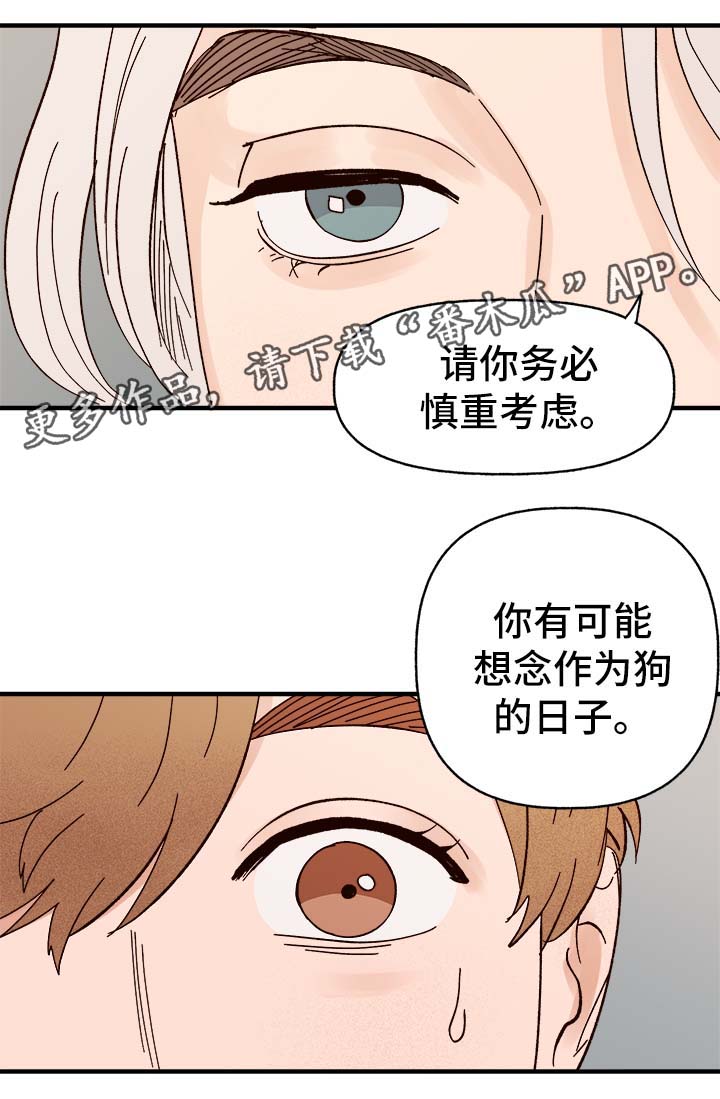 爱宠攻略无删减漫画,第34章：隐晦2图