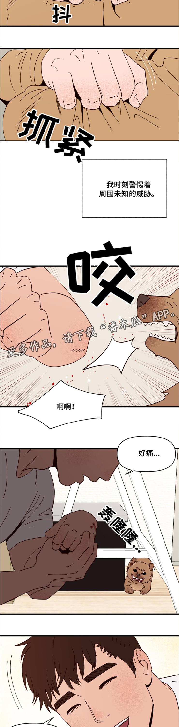 爱宠攻略动漫漫画,第20章：回忆2图