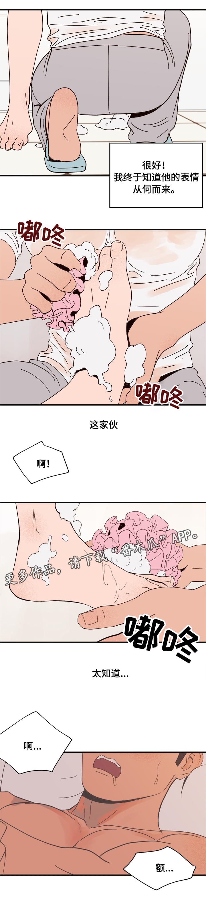 爱宠大机密2中文版漫画,第15章：命令1图