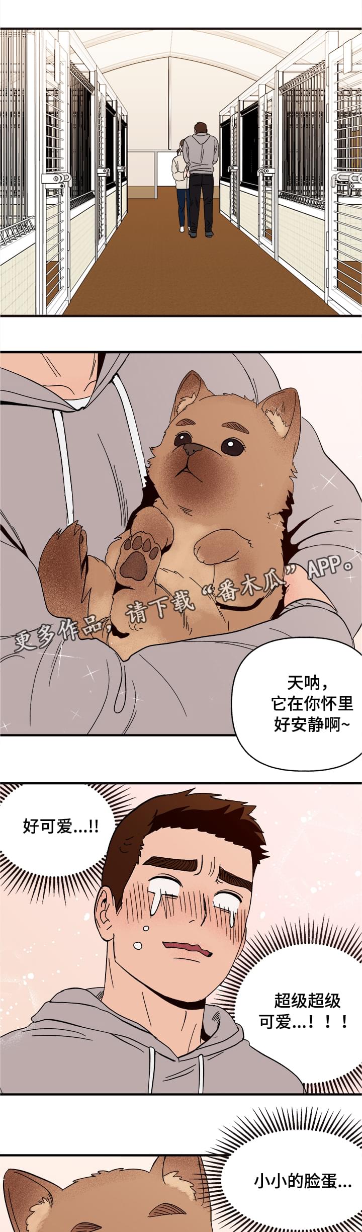 爱宠攻略别名漫画,第6章：惩罚1图