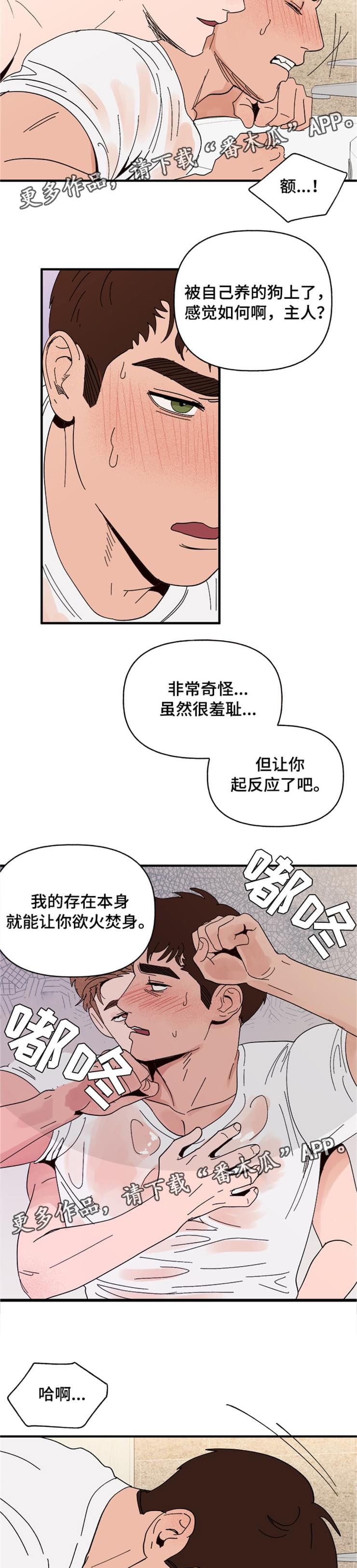 爱宠大机密图片漫画,第16章：接受1图