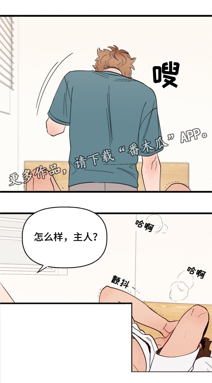 爱宠大机密2中文版漫画,第4章：你的主人2图