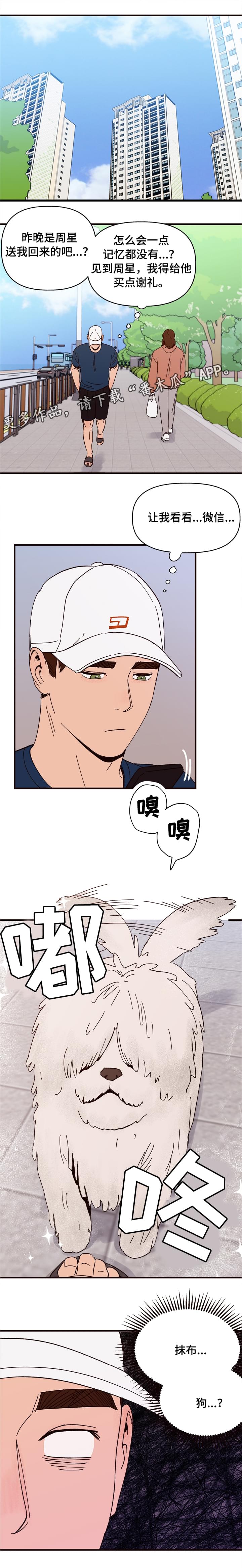 爱宠攻略百年漫画漫画,第10章：谎言2图