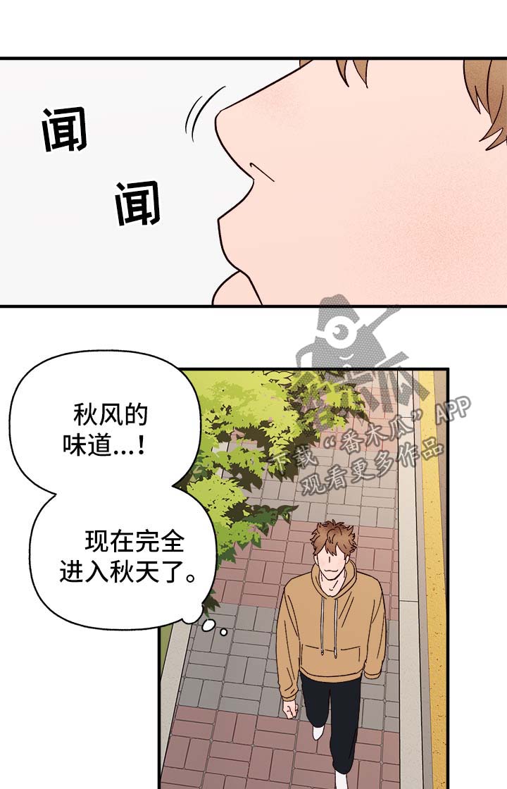 爱宠攻略漫画,第37章：忠告1图