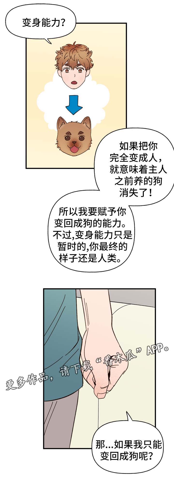 爱宠护理注意事项漫画,第34章：隐晦2图