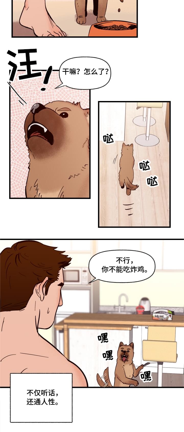 爱宠大机密1完整免费漫画,第1章：袭击2图