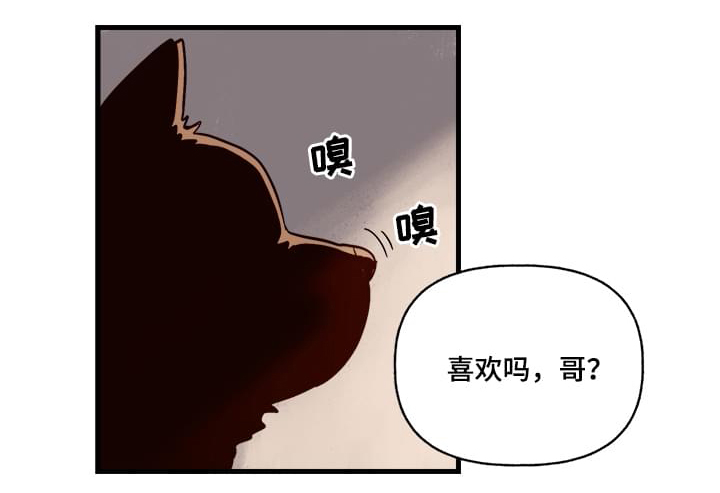 爱宠攻略漫画,第1章：袭击1图