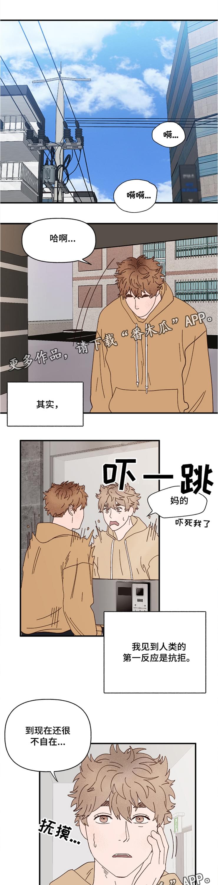 爱宠人士宠物用品漫画,第20章：回忆1图