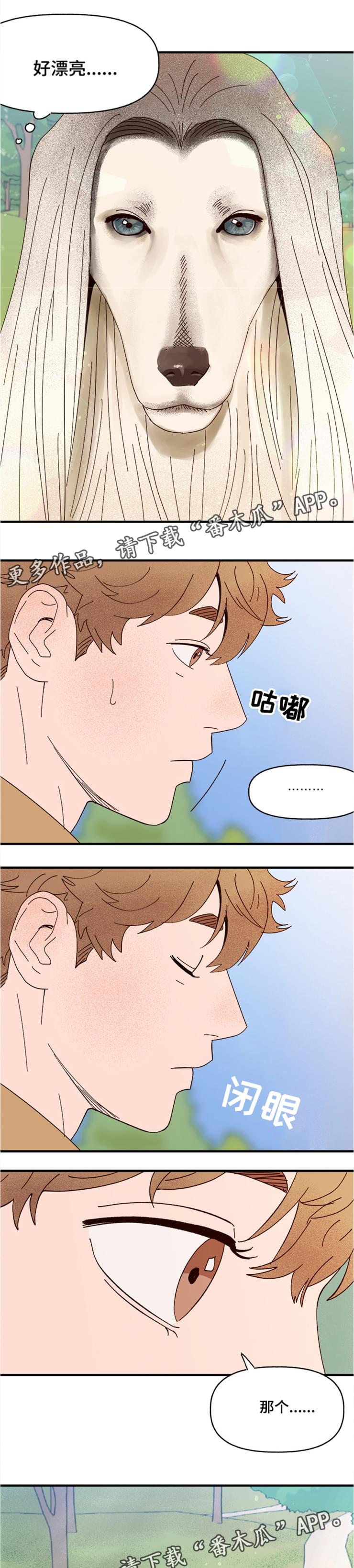 爱宠攻略第十话漫画,第19章：传说1图