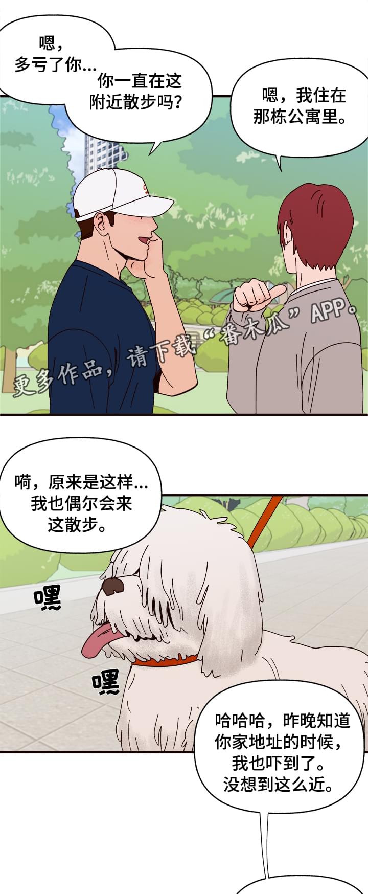 爱宠大机密英文版漫画,第10章：谎言1图