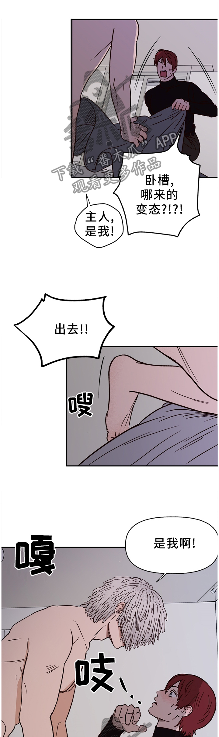 爱宠攻略漫画,第72章：【番外】报警1图