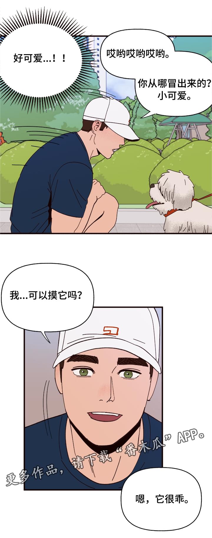 爱宠大机密英文版漫画,第10章：谎言1图