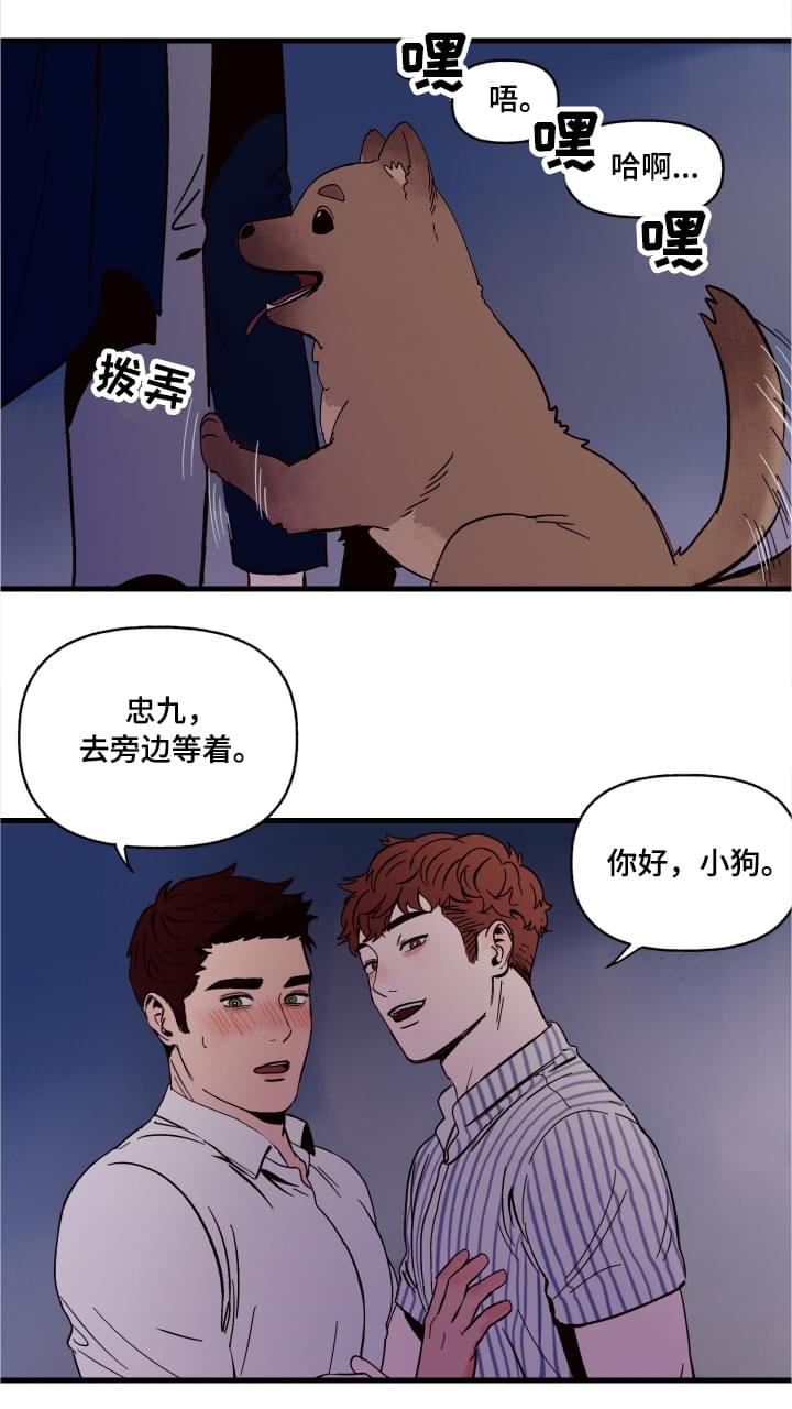 爱宠攻略漫画百度云漫画,第1章：袭击2图