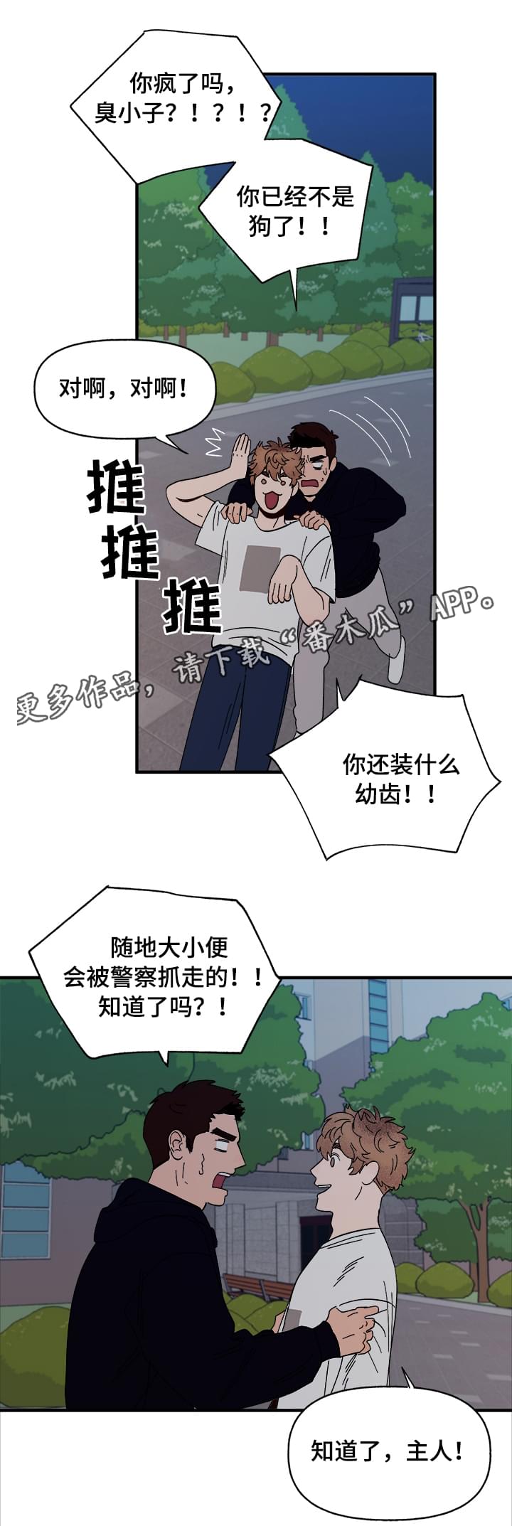 爱宠护理注意事项漫画,第13章：散步1图