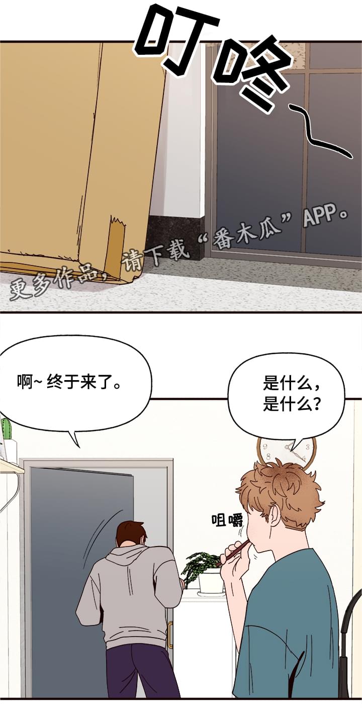 爱宠攻略漫画百度云漫画,第11章：测试一下1图