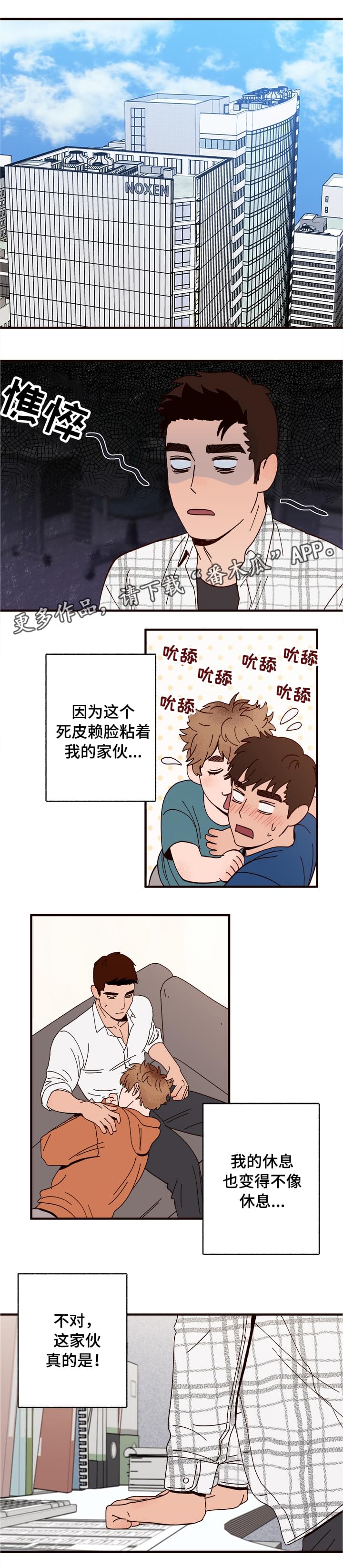 爱宠攻略漫画,第12章：还人情2图