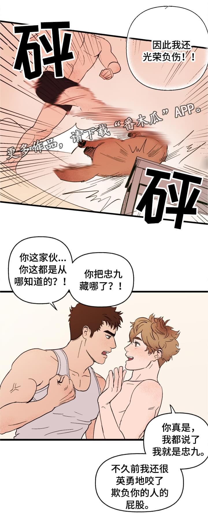 爱宠攻略第十话漫画,第3章：难以置信2图