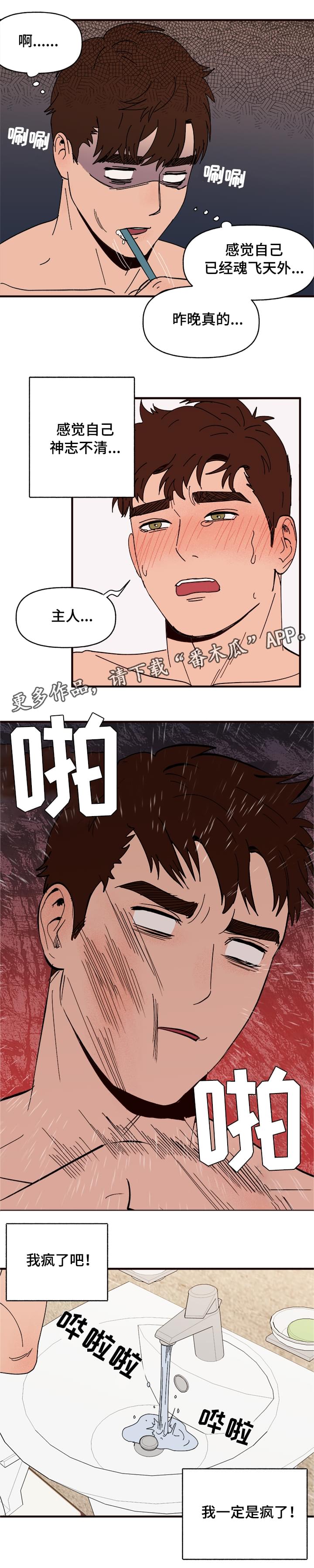 爱宠驯养漫画,第10章：谎言2图