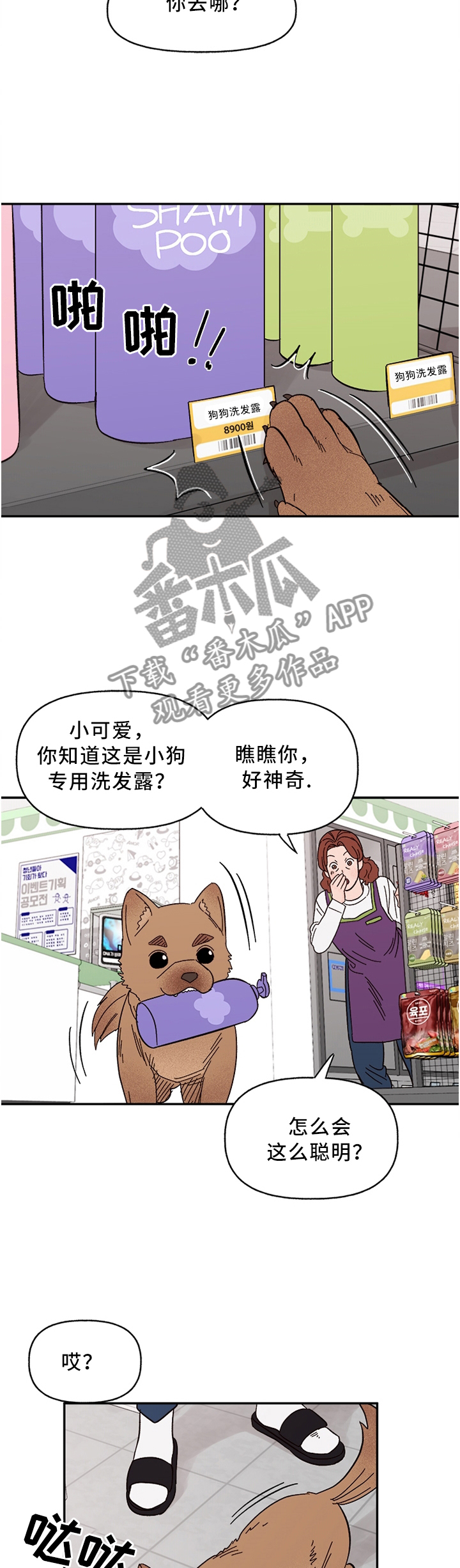 爱宠攻略第十话漫画,第63章：聪明的”狗”2图