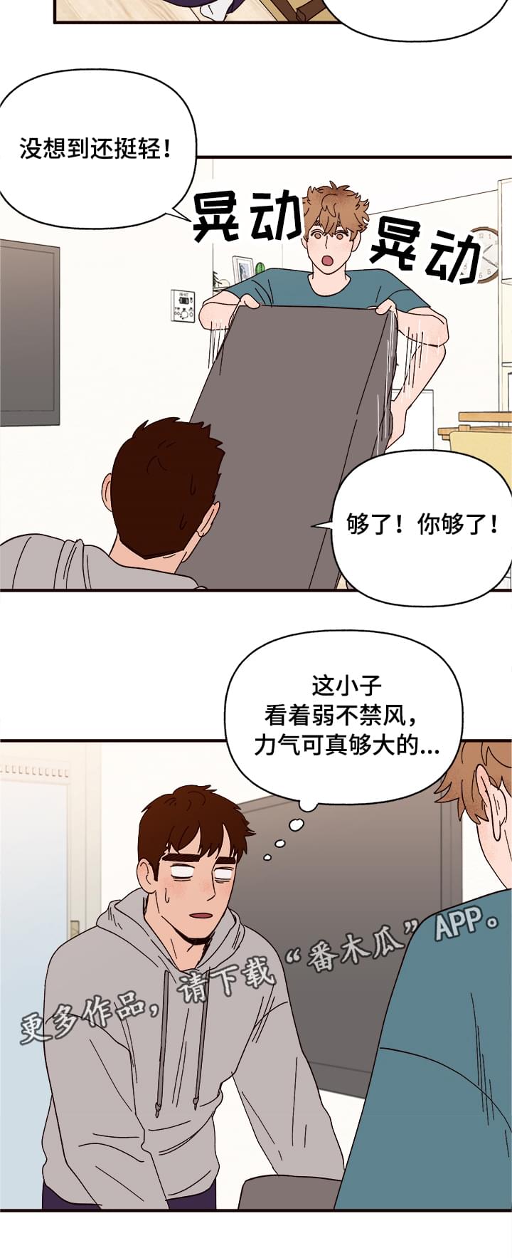 爱宠护理注意事项漫画,第11章：测试一下1图