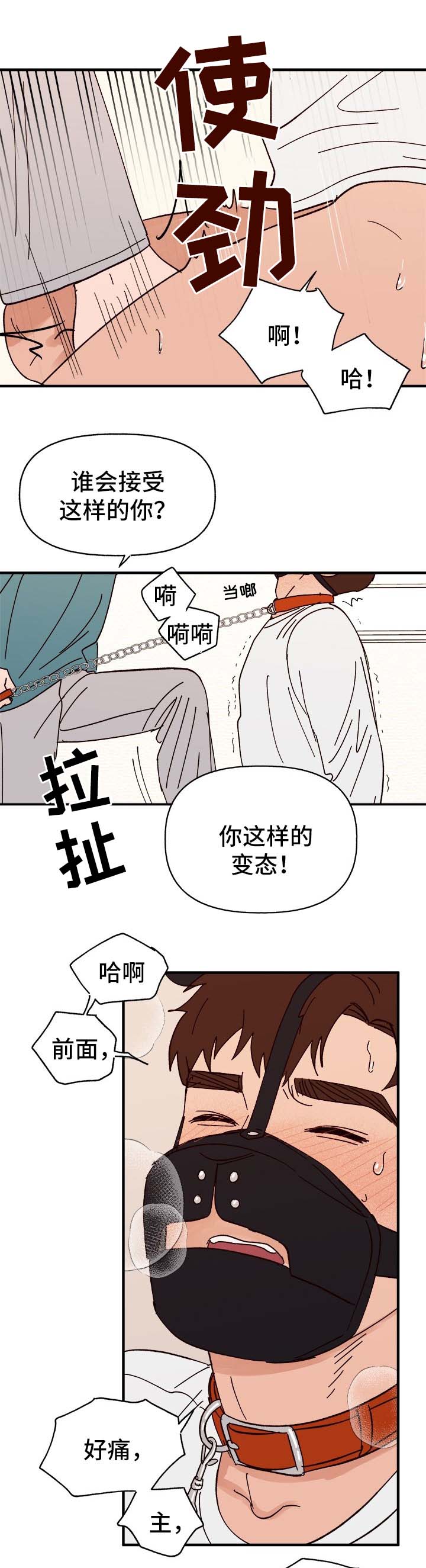 爱宠日常养护方法漫画,第29章：我是谁?1图