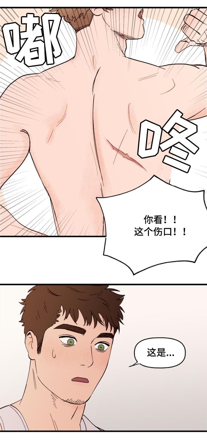 爱宠攻略第十话漫画,第3章：难以置信1图