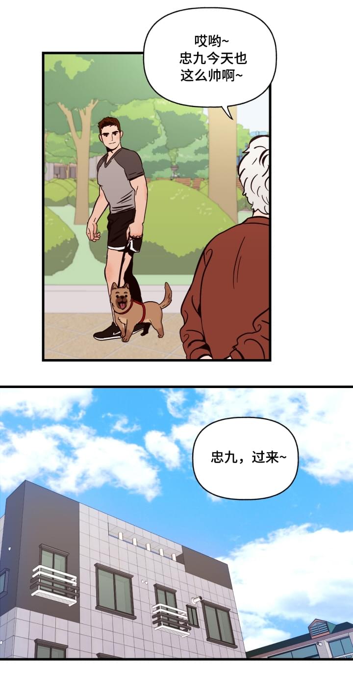 爱宠攻略短剧漫画,第1章：袭击2图