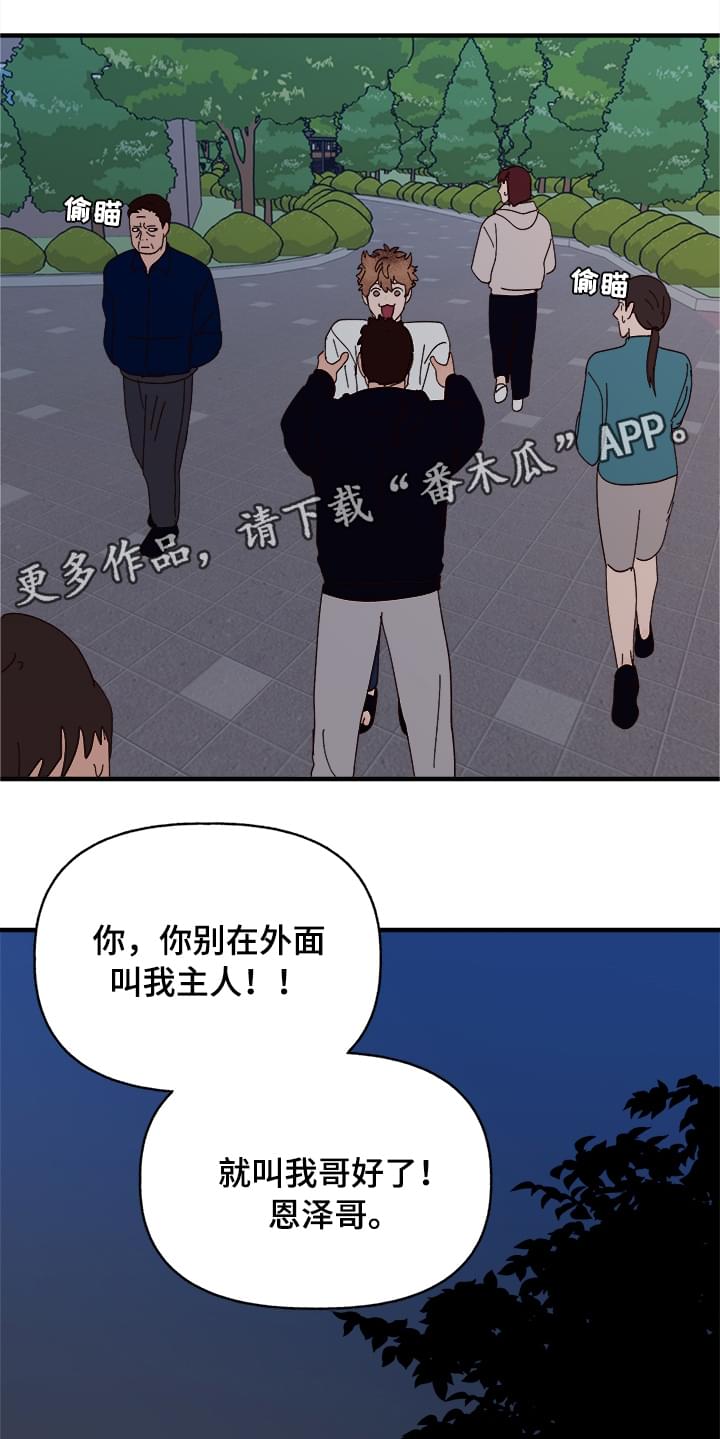 爱宠护理注意事项漫画,第13章：散步2图