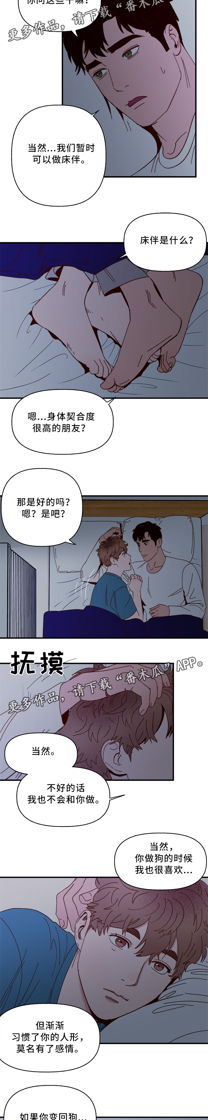 爱宠过冬知识大全漫画,第30章：绝对不会离开你1图