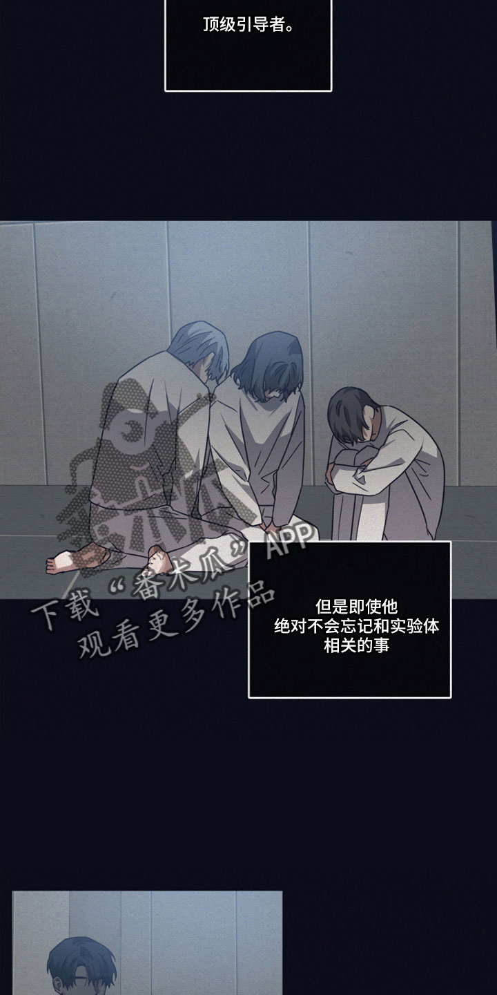 浪漫的命运漫画,第101章： 【第二季】顶级引导者2图