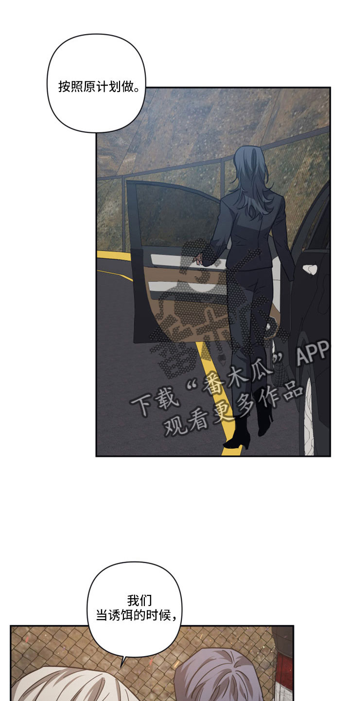 浪漫的命运漫画,第120章：【第二季】按原计划1图