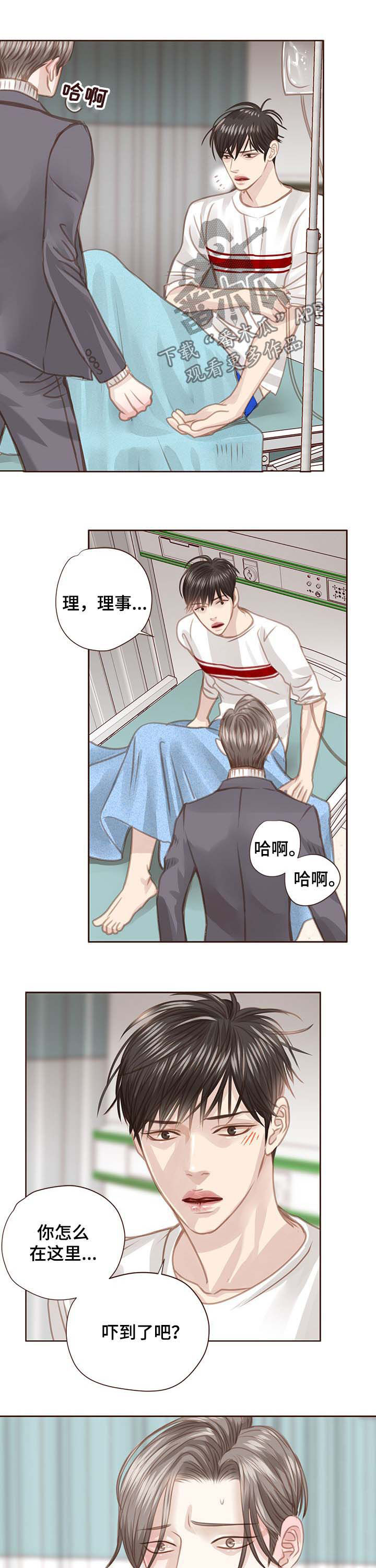 轻狂年少歌词漫画,第92章：调查结果1图