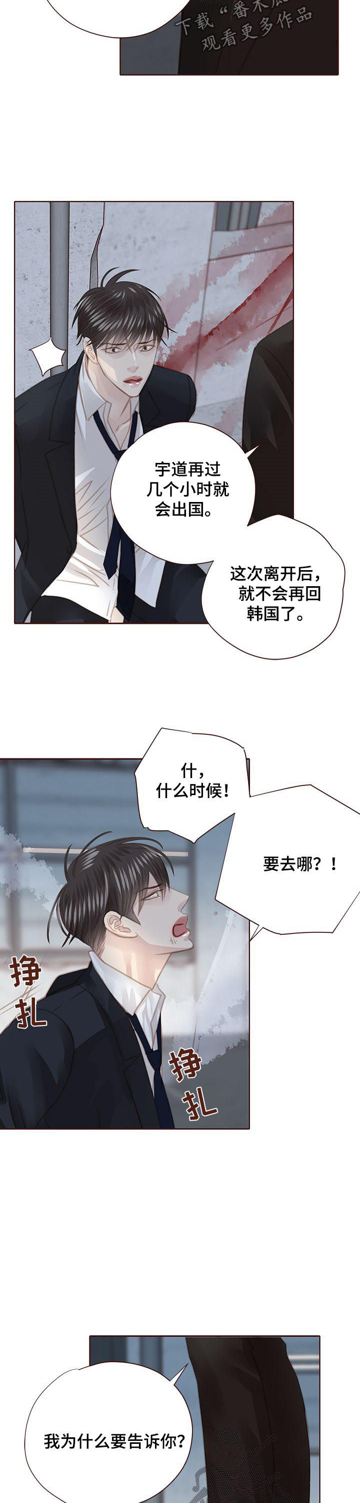 轻狂的少年最后都怎么样了漫画,第123章：出国2图