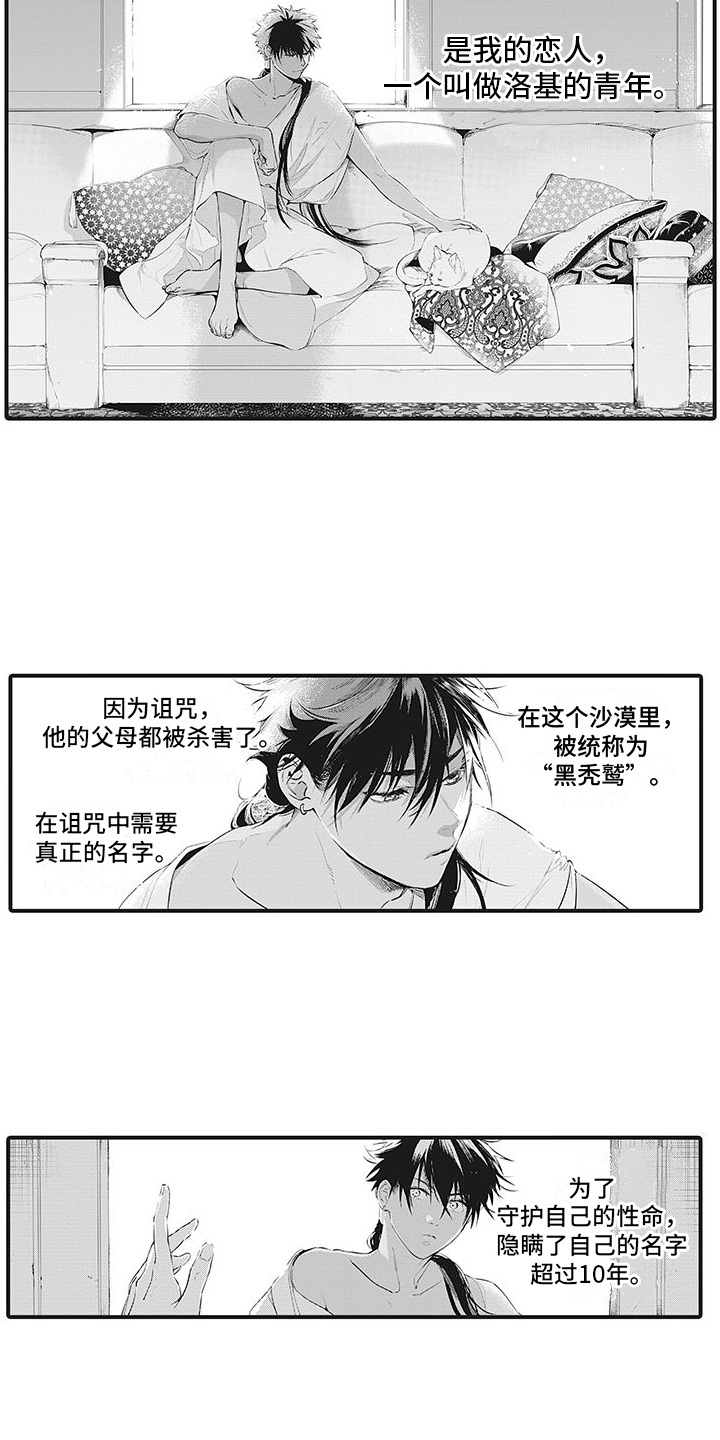 撒哈拉的故事沙漠观浴记漫画,第1章：黑秃鹫2图