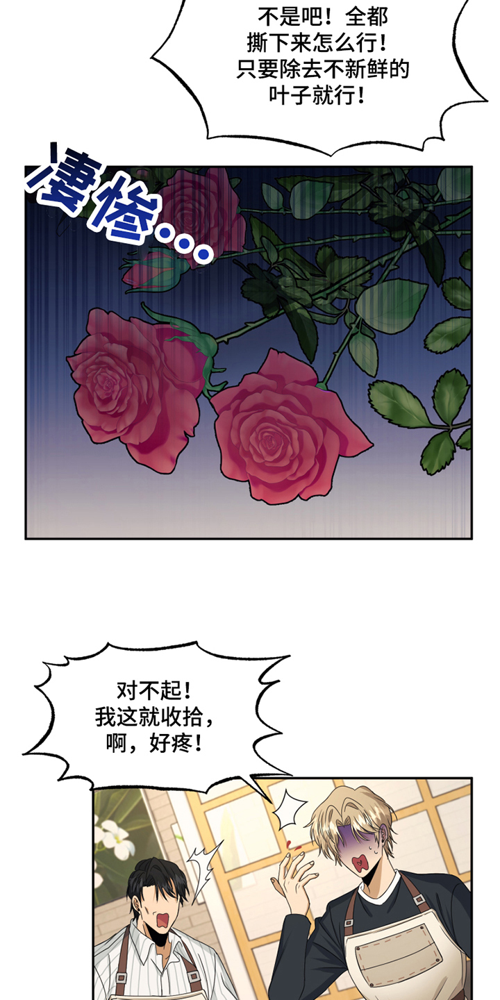 嘉兴奇缘花店漫画,第3章：应聘1图