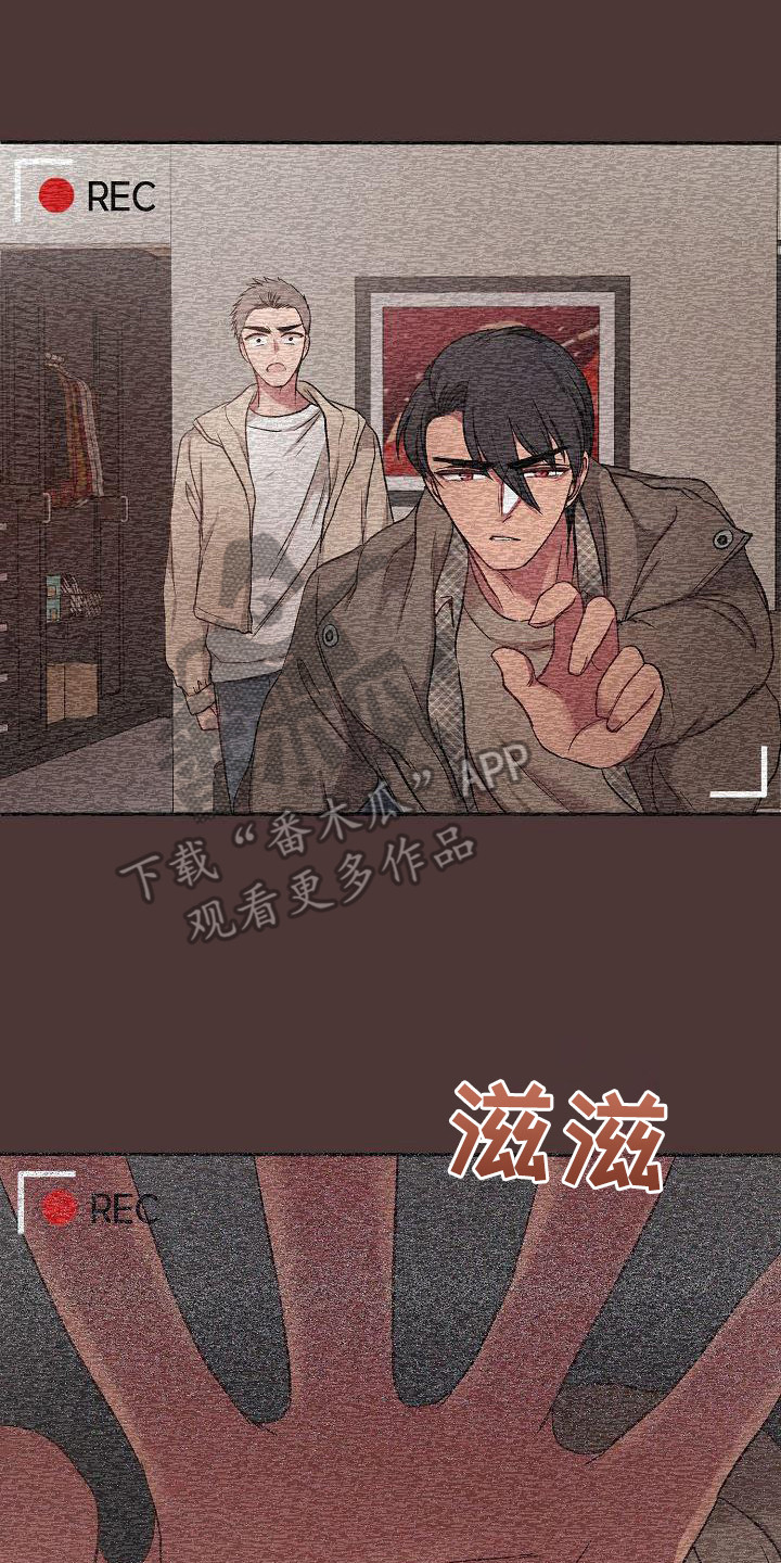 爱上保镖的电视剧推荐漫画,第13章：监控1图