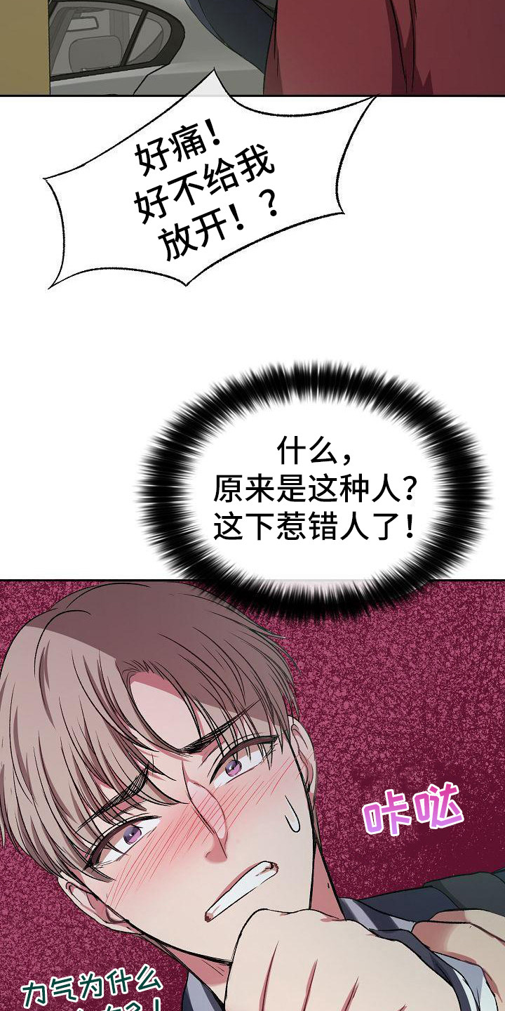 爱上保洁阿姨的女人漫画,第3章：保镖2图