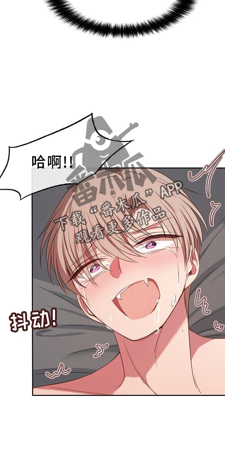 爱上女保镖视频漫画,第63章：感动2图