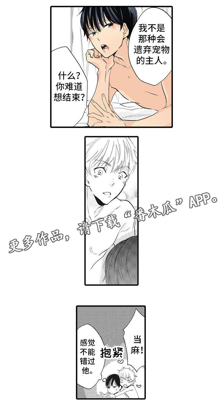 驯龙高手1漫画,第12章：心想事成1图